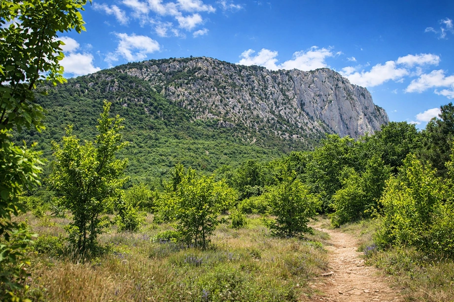 Лошади в Крыму — катание на лошадях